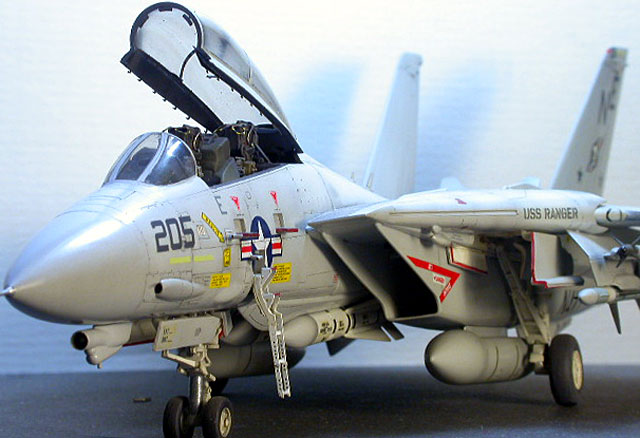 F-14A Tomcat by Roger Fabrocini (Hasegawa 1/48)